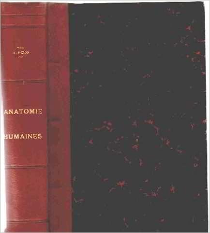 Téléchargement Gratuit Bookworm Mobile Anatomie Et - 