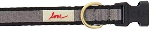 ED Ellen DeGeneres Grey & Black Love Dog Collar~Small~