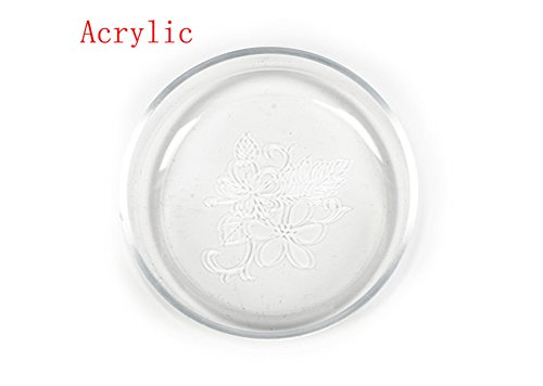 Zeroyoyo Acrylic/Glass Ornamental Shrimp Feeding Dish Snail Fish Food Feeder Bowl Cup Basin Tray Container for Aquarium Fish Tank