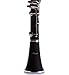 Hawk WD-C212 Bb Clarinet Outfit Matte Finish with Case, Mouthpiece and Reed