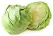 CABBAGE FRESH GREEN PRODUCE FRUIT VEGETABLES FROM FLORIDA EACH HEAD (1)
