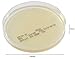Tryptic Soy Agar (TSA), USP, a General Growth Medium for Microorganisms, 10 Plates Per Pack, by Hardy Diagnostics