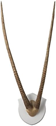 Contemporary Home Living 40" Brown Gazelle Horns Ecru Wood Plaque