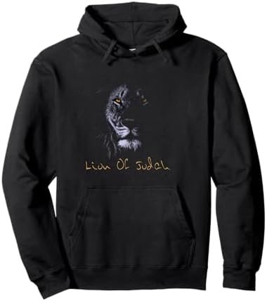 Amazon.com: Zyzz Son of Zeus Pullover Hoodie : Clothing, Shoes