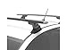 YAKIMA, Landing Pad Fixed Point Tower Installation for Naked Rooftops, 1 (set of 2)