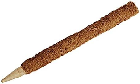 Biotop B2135, Tutor de fibra de coco para plantas de 60 cm. de ...