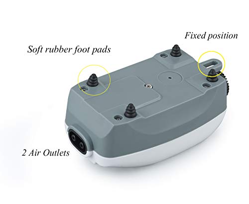 FEDOUR Aquarium Oxygen Air Pump, 2 Outlets Fish Tank Air Pump, Whisper Quiet Fish Air Pump with Completed Accessories