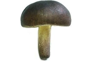 ZIMMERMAN MARKETPLACE Vicien Artificial Mushroom, Dark Brown, Box of 12