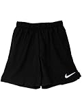 NIKE Men's Challenger Running Shorts