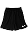 Nike Men's Challenger Running Shorts