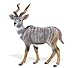 Wild Safari Lesser Kudu