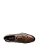 Franklin & Freeman Men's Robinson Wingtip Medallion Oxford