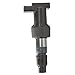 Delphi GN10327 Ignition Coil