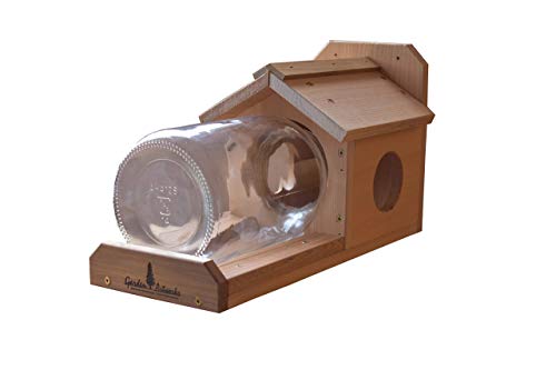 Amazon Com Garden Artworks Squirrel Jar Feeder With One Gallon