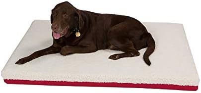 organic latex dog bed