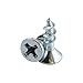 Rok Hardware 100 Pack #6 x 1/2