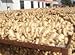 PRO-PERU-GINGER, Dried Ginger Slices, Net.Wt (8 OZ)