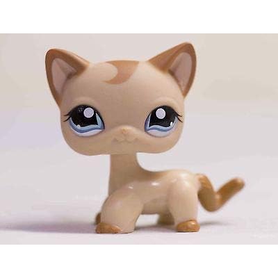 Lapps Pet Brown Maikling Buhok Cat Kitty Blue Mata Laruan # 1024