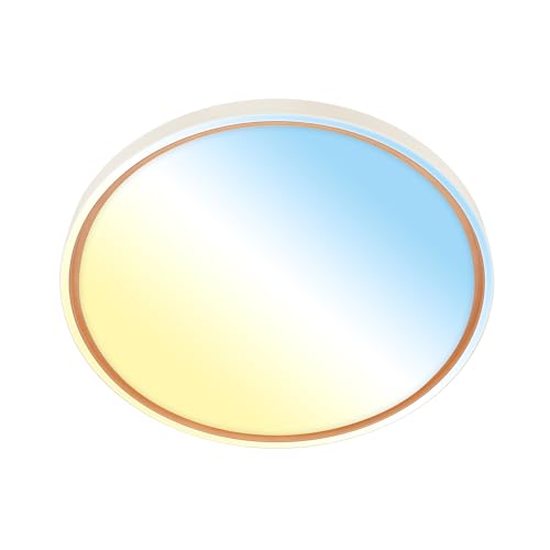 BRILONER - LED Ceiling Light with Remote Control, dimmable, CCT Warm to Cool White, LED Light, Living Room, Bedroom, Lounge, 49x6.5 cm, Coffee
