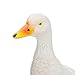 Gotian Small Resin Duck Statue Garden Yard Sculpture Outdoor Indoor Art Crafts Decor, for Garden, Pond, Garden Decoration, Pets and Children's Toys (White)