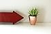 Small Faux Aloe Succulent in Rose Gold Ceramic Planter - 4 x 6 Inches - Marmeda Decor Potted Artificial Plant in Shiny Copper Glazed Pot - Global Modern Metallic Decor for Home or Office
