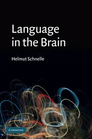 LANGUAGE IN THE BRAIN