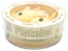 Giant Microbes Platelet Thrombocyte Petri Dish