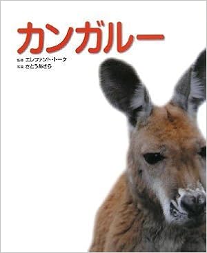 カンガルー 写真 図鑑 データブック 動物園 真 定番シリーズ あきら さとう エレファントトーク 本 通販 Amazon