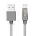 KINPS Apple MFi Certified Lightning to USB Cable Nylon Braided iPhone Charger Cord Super Long Compatible with iPhone X/8/8 Plus/7/7 Plus/6S/6S Plus, iPad Pro/Air/Mini (10ft/3m, Silver) primary