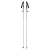 Black Diamond Distance Carbon Flz Trekking Poles