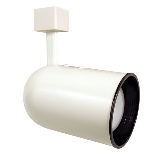 Elco Lighting ET639WW Line Voltage PAR30 Round Back Cylinder