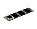 Biwin 256GB 80mm SATA III 6Gb/s NGFF, M.2 2280 SSD Solid State Drive,Read: 561MB/s Write: 296MB/s