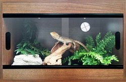 Terapod Slim Vivarium, Walnut 24