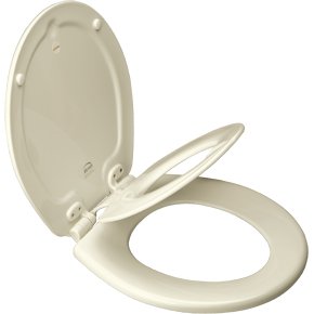 Nextstep Wood Round Slow-Close Toilet Seat Finish: Biscuit