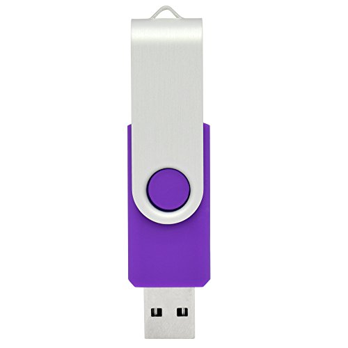 OVANUS 16GB USB 2.0 Flash Drives Metal Memory Stick Storage U Disk (Purple)
