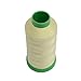 Neomark 5 Colors Halloween Orange Pink White Green Blue Glow in The Dark Embroidery Thread 500 Yard X5 (5 colors)