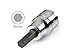 TEKTON 1376 3/8-Inch Drive by 6 mm Hex Bit Socket, Cr-V