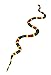 Safari Ltd. Coral Snake Figurine - Detailed 23