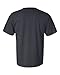Comfort Colors 1717 Pigment-Dyed Short Sleeve Shirt (Graphite, Large)