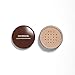 CoverGirl Professional Face Loose Powder, Translucent Light 110, 0.7 Ounce