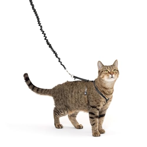 PetSafe Come With Me Kitty Harness