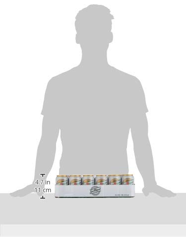 San-Miguel-Especial-Dose-DPG-Bierpaket-EINWEG-24-x-033-l