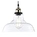 Light Society Classon Edison Pendant Light, Clear Glass Shade with Antique Brass Finish, Vintage Modern Industrial Lighting Fixture (LS-C171)