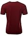 Doublju Mens V-Neck T-shirts with Short Sleeve