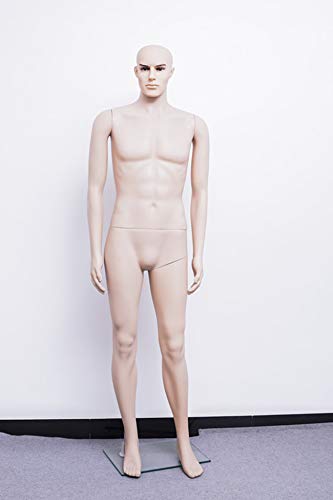 The Planet Zone Men S Straight Plastic Full Body Mannequin Display