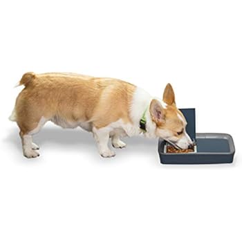 Pet Supplies Petsafe Digital Two Meal Automatic Pet Feeder For