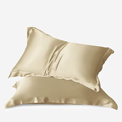 Waterlily 100% Mulberry Silk Pillowcase Oxford Pillowcases for Hair and Skin Envelope 50x75cm Both Sides 19momme Charmeuse Soft Natural Organic Luxury Pillow Case Cover (Champagne Pair)