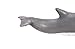 Safari Ltd Wild Safari Sea Life Dolphin Calf