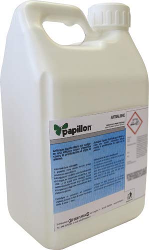 Alghicida per piscine