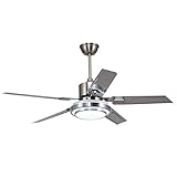 Outdoor Ceiling Fan Light,Remote Control Patio